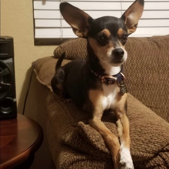 Meet your shopper n posher - Picture 13 of 16